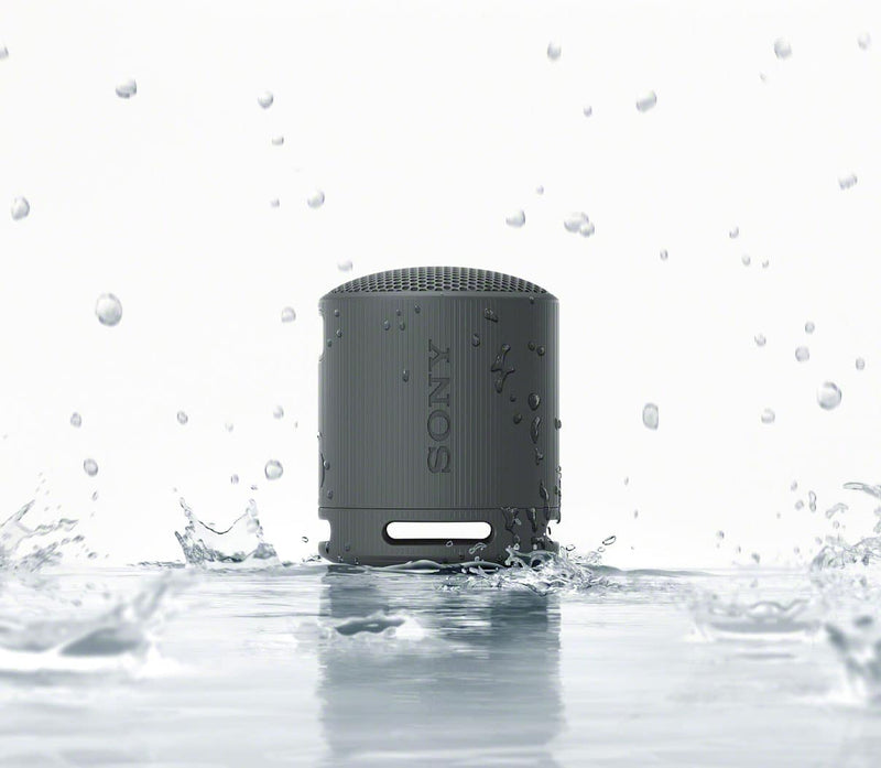 LIMITED QTY:  Sony SRS-XB100 Bluetooth Speaker